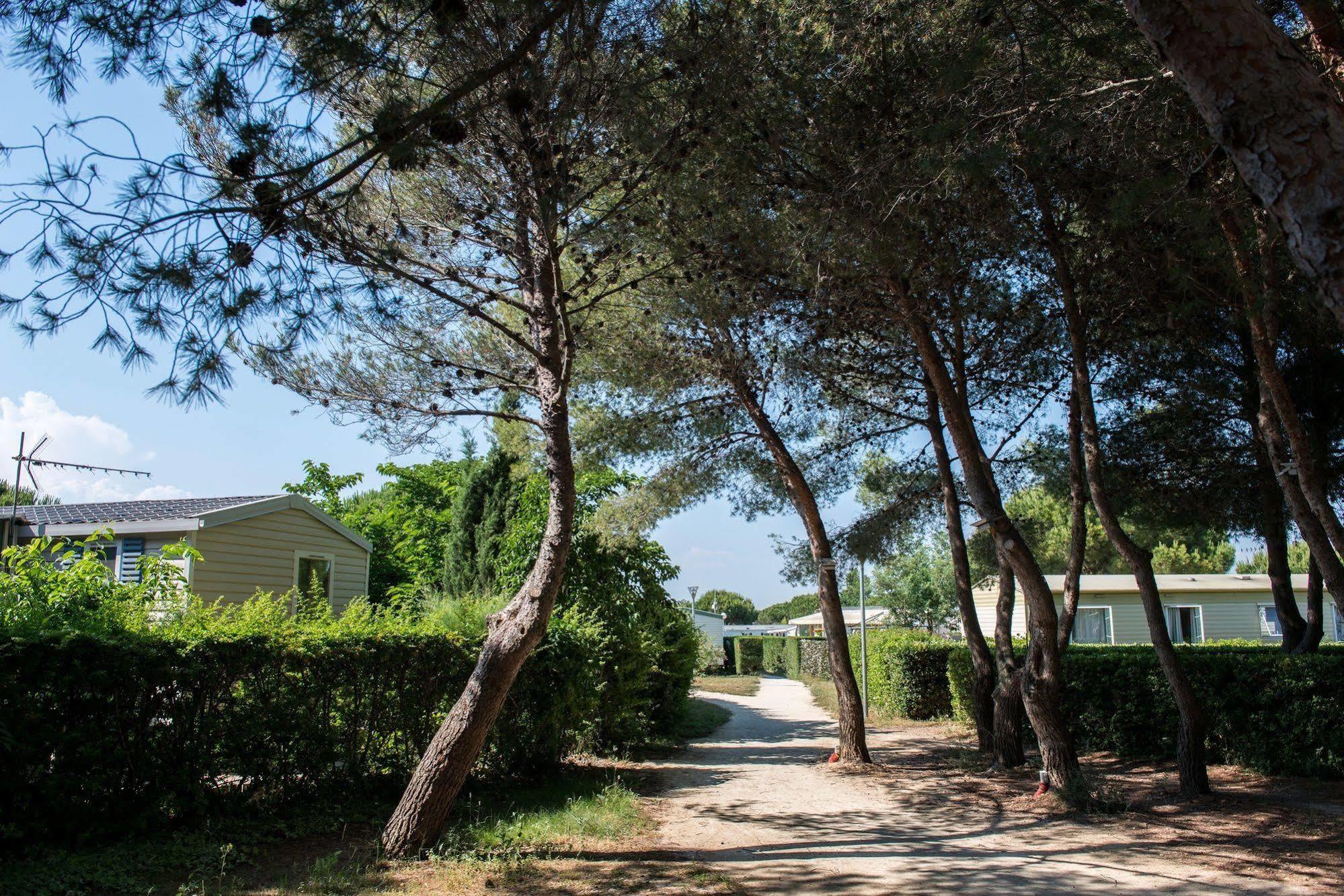 Camping Officiel Siblu Le Lac Des Reves 拉特斯 外观 照片